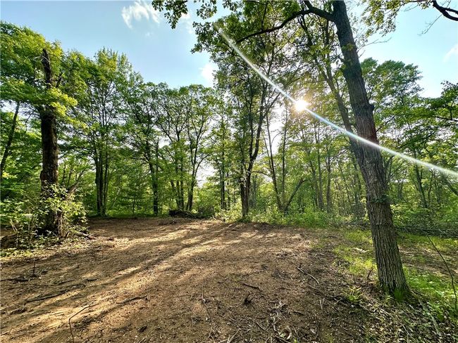 16 295th Street, Home with 0 bedrooms, 0 bathrooms and null parking in Holcombe WI | Image 11