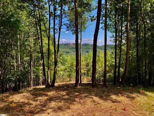 501 Blue Bonnet Trl, Marietta, SC, 29661-5190 | Card Image