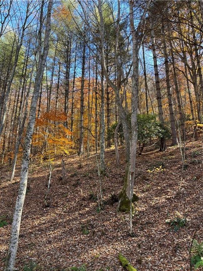 1972 Big Horse Creek Rd, House other with 3 bedrooms, 2 bathrooms and null parking in Lansing NC | Image 10