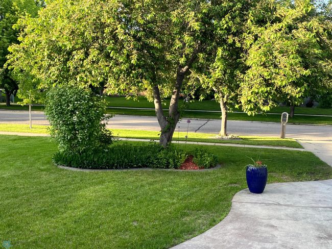 Summer Foliage | Image 58