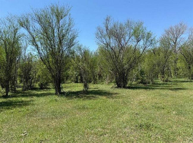 10542 Walker Rd, Home with 0 bedrooms, 0 bathrooms and null parking in Beasley TX | Image 8