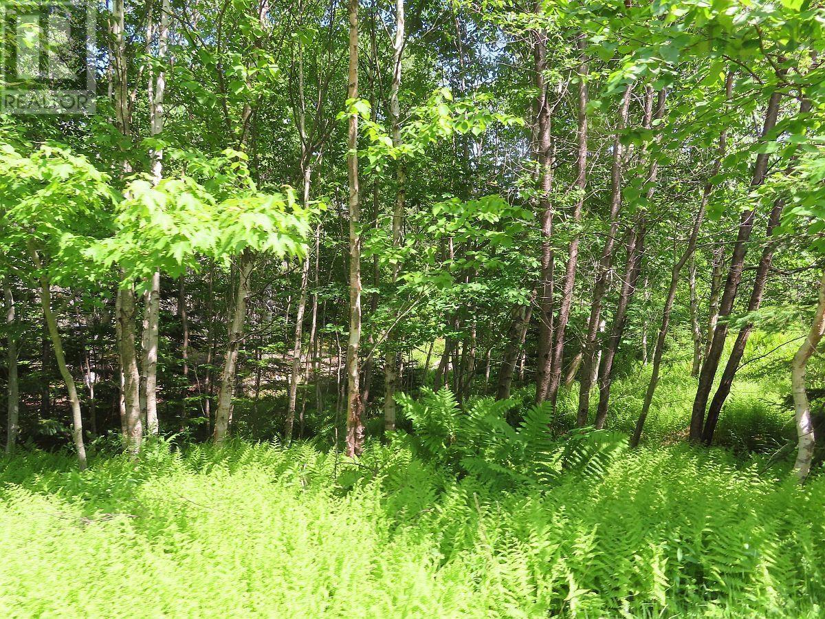 Land in Roberta 4
