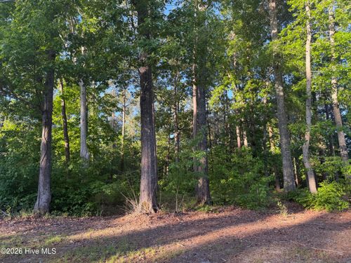 012-F Holiday Ln, Hertford, NC, 27944 | Card Image