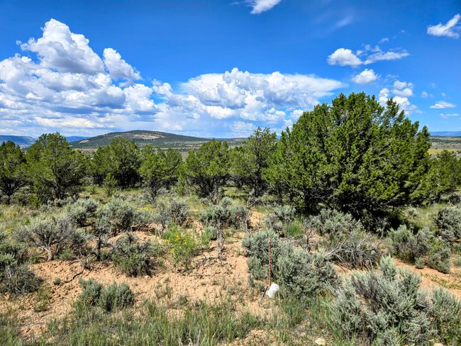 Unit 10 Tract 243 El Vado Lake Subd., Home with 0 bedrooms, 0 bathrooms and null parking in Tierra Amarilla NM | Image 11