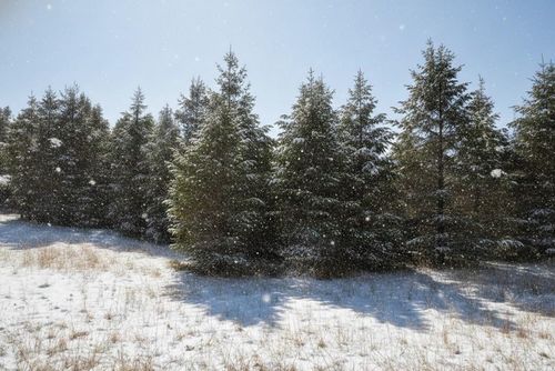 5 Spruce Hollow Trce, Fife Lake, MI, 49633 | Card Image