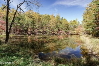 8.13acres Harris Rd, Home with 0 bedrooms, 0 bathrooms and null parking in Monterey TN | Image 2