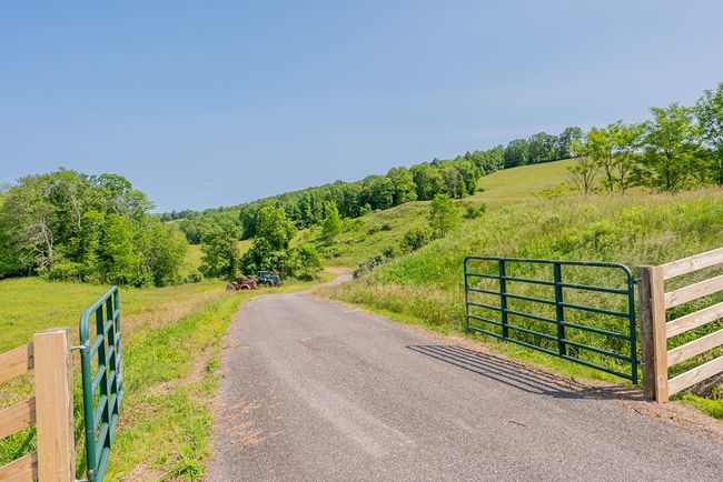 688 Gibson Knob Rd, Home with 0 bedrooms, 0 bathrooms and null parking in Laurel Fork VA | Image 79
