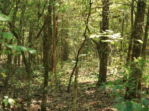 201 E Bo Peep Circle, Horseshoe Bend, AR, 72512 | Card Image