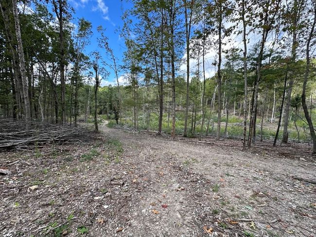621 Point Pleasant Rd, House other with 2 bedrooms, 1 bathrooms and null parking in BLAND VA | Image 19
