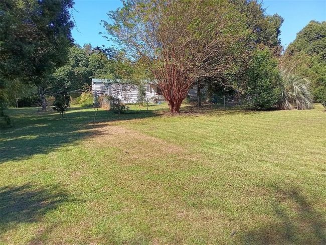 View of yard | Image 4