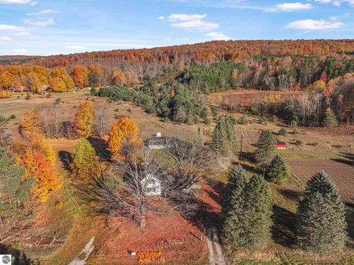10308 Homestead Road, Beulah, MI, 49617 | Card Image
