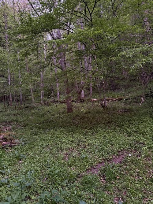 0 Bluestone Ave, Bramwell, WV, 24724 | Card Image
