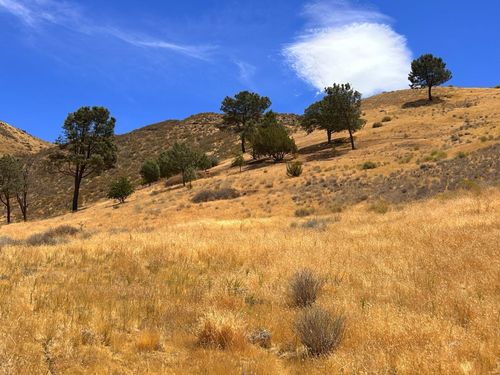 3200 Shadow Mountain Dr, Lake Isabella, CA, 93240-9806 | Card Image