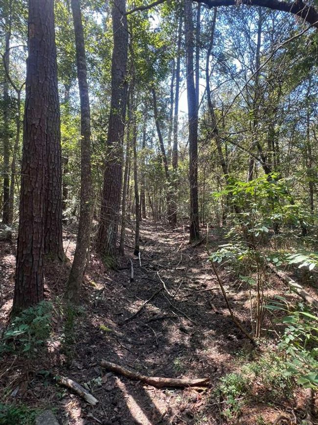 18157 State Highway 87 S, Home with 2 bedrooms, 1 bathrooms and 1 parking in Call TX | Image 34