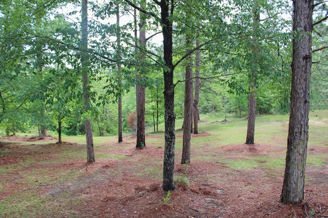 33 Acreage | Image 34