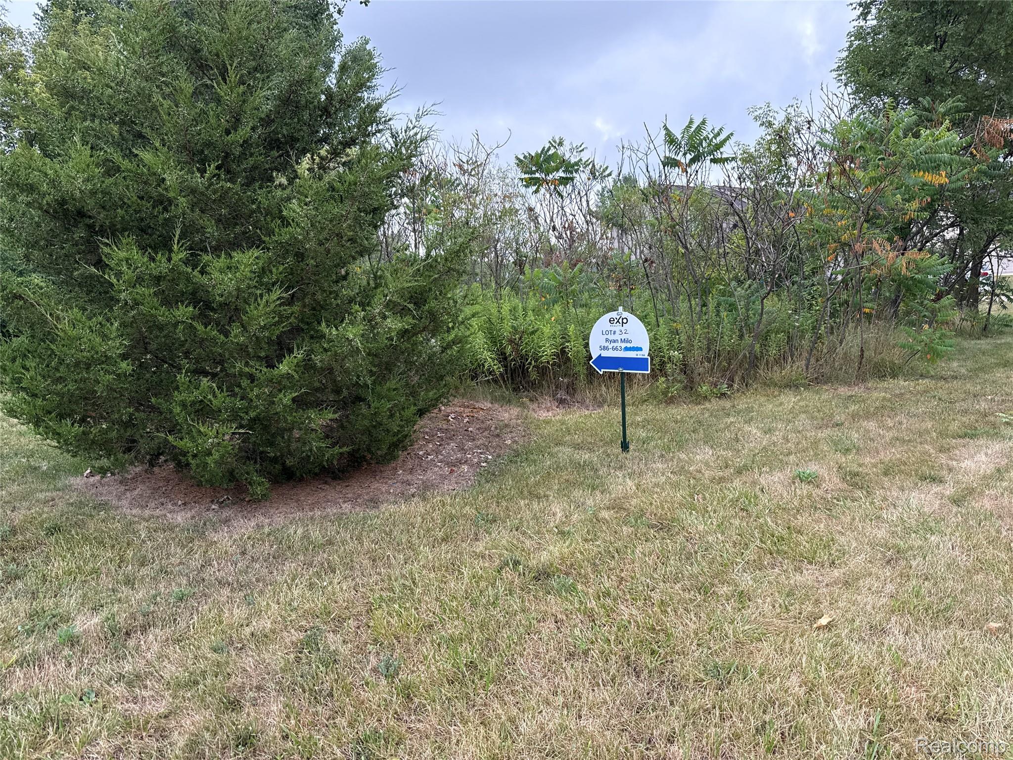 Land in Augusta Charter Township