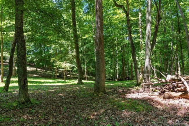 58501 Us Highway 50, Home with 0 bedrooms, 0 bathrooms and null parking in Mc Arthur OH | Image 66