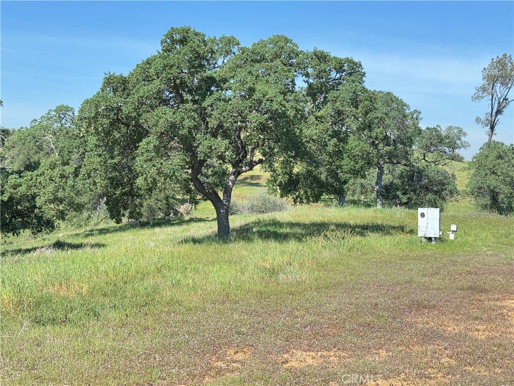 Land in Catheys Valley 4