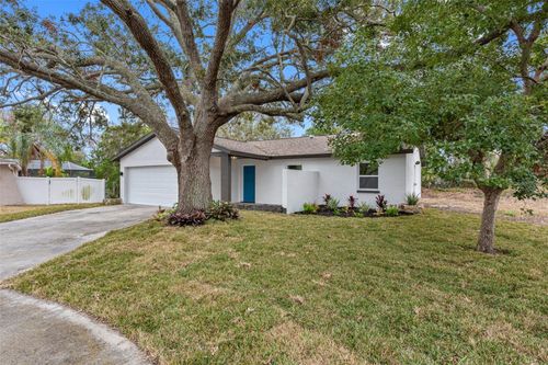 1399 Grapeleaf Ct, TARPON SPRINGS, FL, 34689-3923 | Card Image