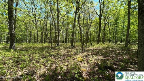 151 Bear Rd, Bushkill, PA, 18324 | Card Image