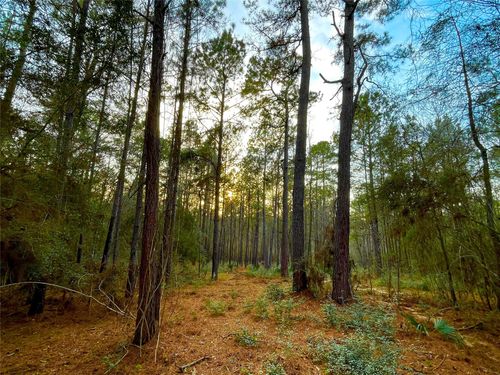 1-1-31 Texas Grand Road, Huntsville, TX, 77340 | Card Image