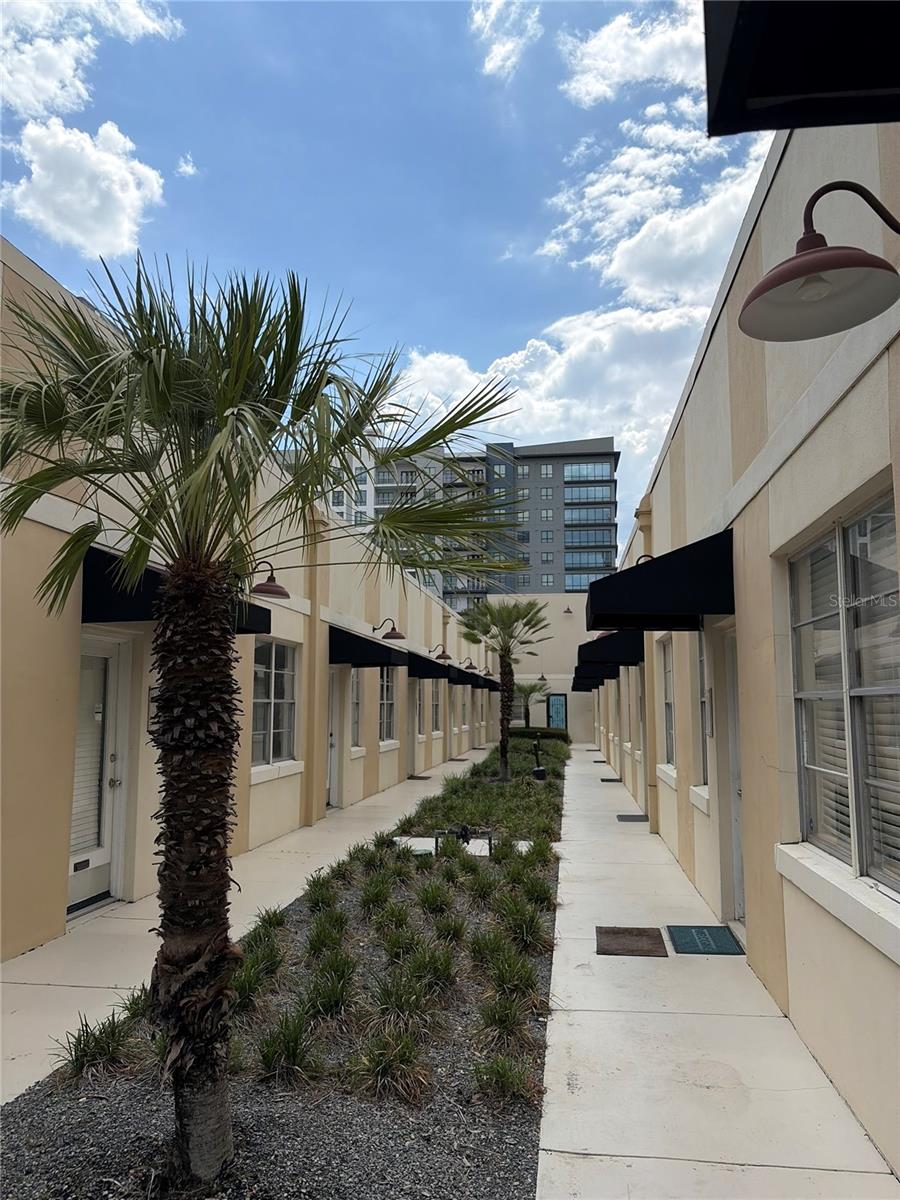 Commercial Lease in ORLANDO 2