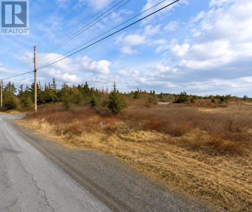 163 Ridge Rd, Home with 0 bedrooms, 0 bathrooms and null parking in Bay Roberts NL | Card Image