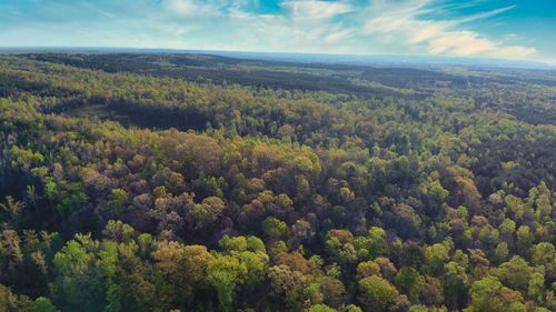 1 Highway 142, Shiloh, TN, 38376 | Card Image