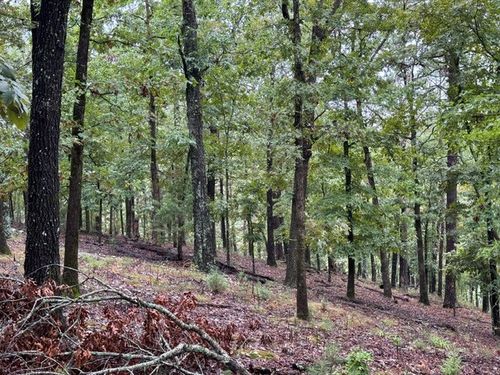 135 W Van Buren, Eureka Springs, AR, 72632-3650 | Card Image