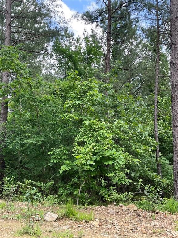 Land in Broken Bow
