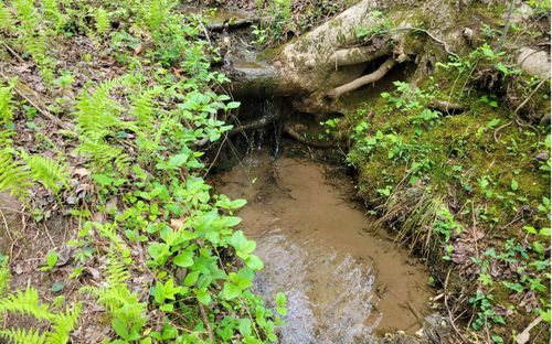 LOT27 Oakridge Ln, Ellijay, GA, 30536 | Card Image