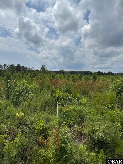 TBD Cove Rd, Hertford, NC, 27944 | Card Image
