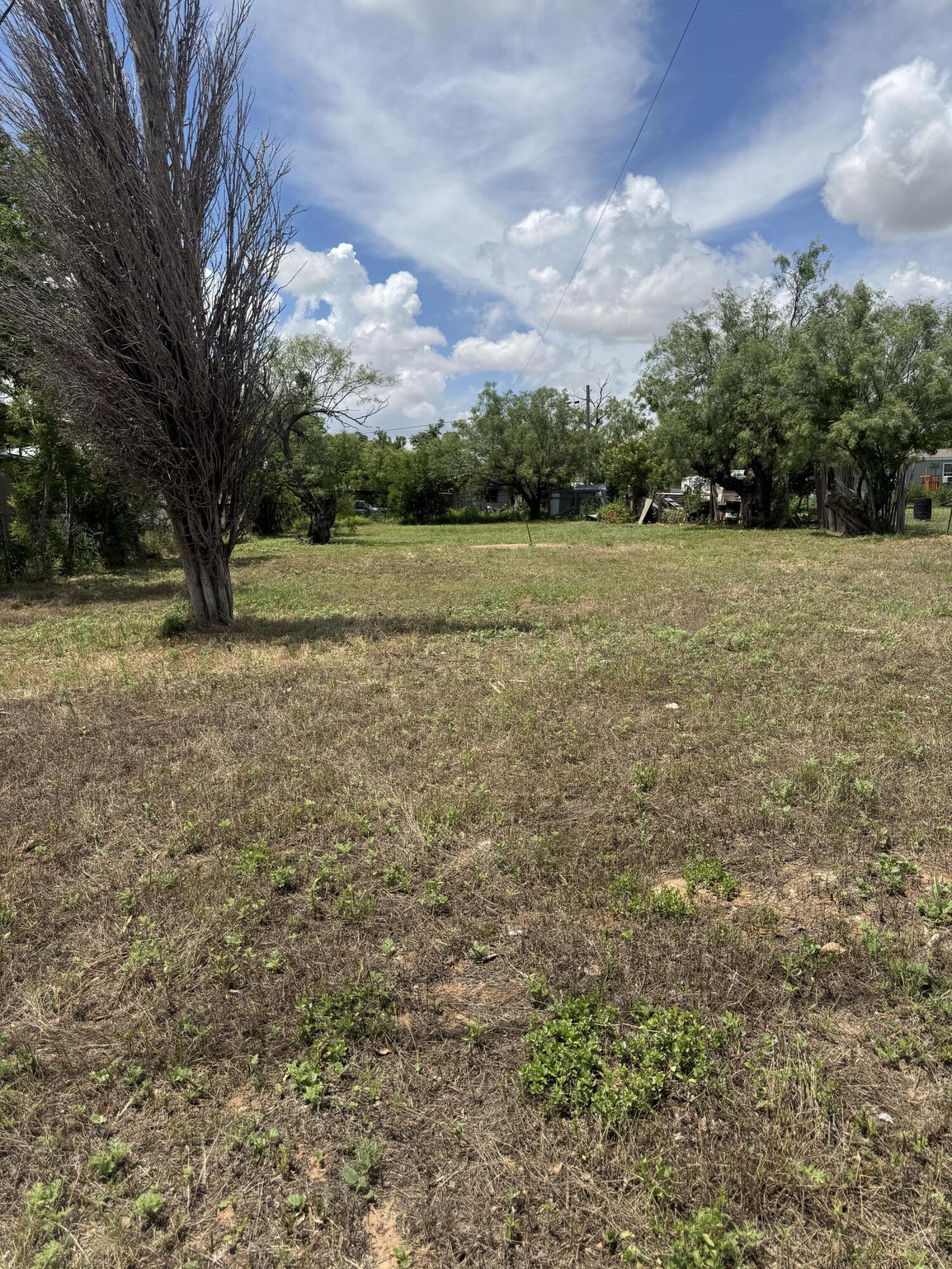 Land in Ballinger 4
