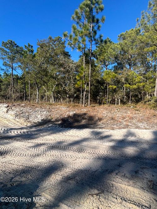 Lot 221 Starling Break Road, Southport, NC, 28461 | Card Image