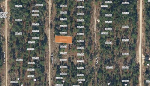XX Jackson Dr, Hawthorne, FL, 32640 | Card Image