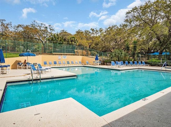 50A - 2722 11 Th Ct, Condo with 2 bedrooms, 3 bathrooms and null parking in PALM HARBOR FL | Image 29