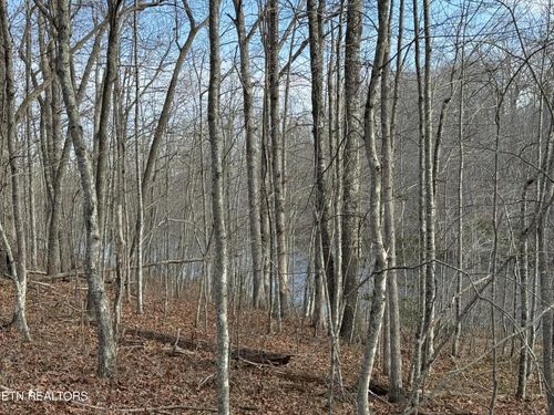 0 Crystal Pt, Monterey, TN, 38574 | Card Image