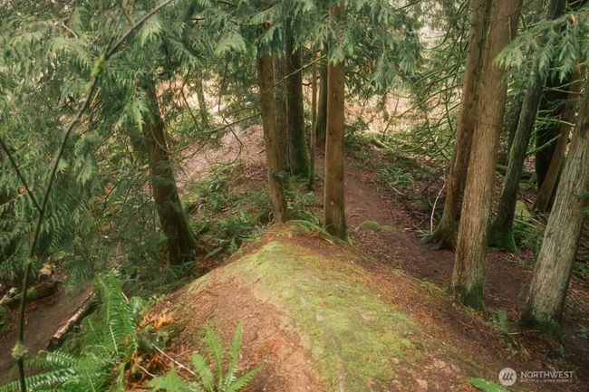 0 Princeton Ct, Home with 0 bedrooms, 0 bathrooms and null parking in Bellingham WA | Image 29
