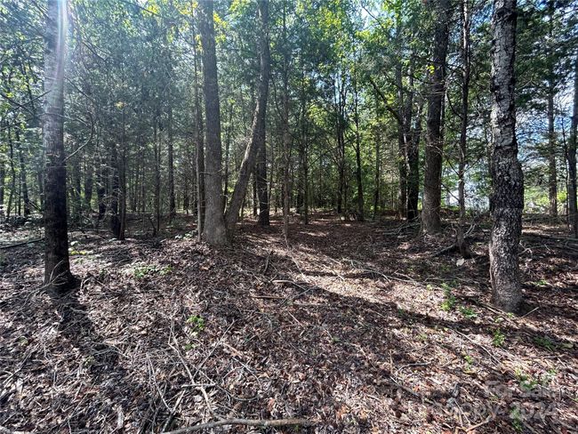 5630 Woodsferry Rd, Home with 0 bedrooms, 0 bathrooms and null parking in Carlisle SC | Image 15