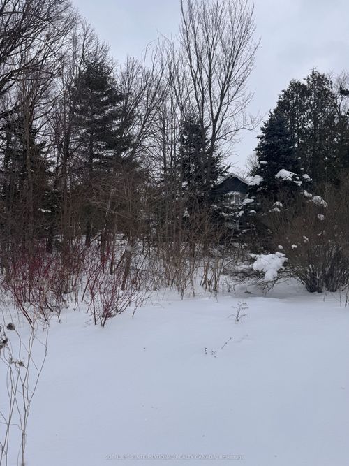 39 Pine River Cres, Mulmur, ON, L9V3H3 | Card Image