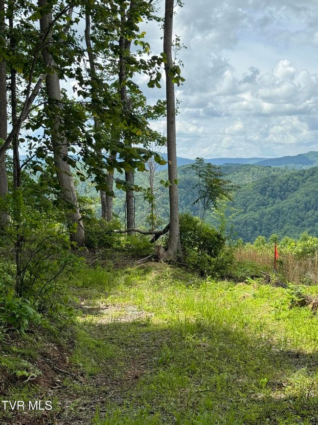 00 Heavens View Ln, Home with 0 bedrooms, 0 bathrooms and null parking in Gate City VA | Image 11