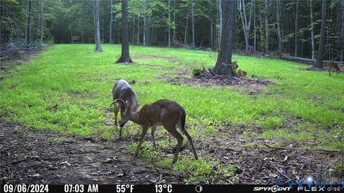 0 Crymes Rd, Meherrin, VA, 23954 | Card Image