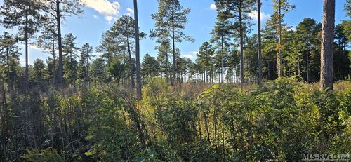 Lot 4 W Church St, Lawrenceville, VA, 23868 | Card Image