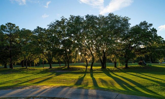 667 Richmond Close, House other with 5 bedrooms, 7 bathrooms and null parking in TARPON SPRINGS FL | Image 81