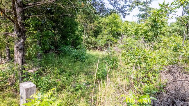 Cabin on 13 acres028(1) | Image 21