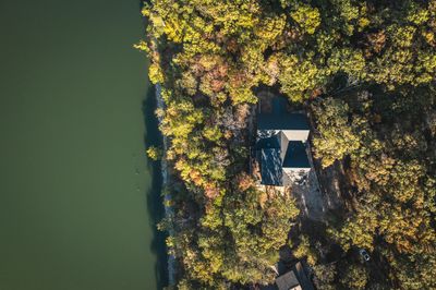 Lake | Image 3