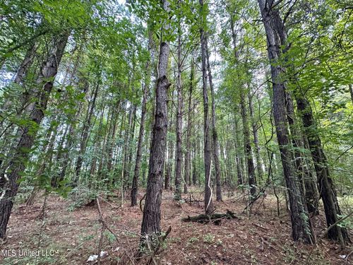 4 Prentiss Crump Rd, Terry, MS, 39170 | Card Image