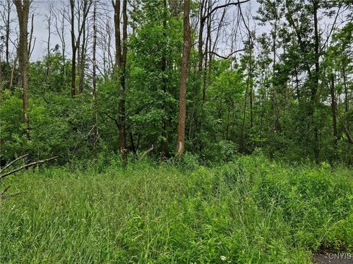 56 Myrtle St, Cazenovia, NY, 13035-1116 | Card Image