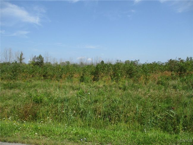 1 Hitchcock Point Road, Home with 0 bedrooms, 0 bathrooms and null parking in Sullivan NY | Image 8