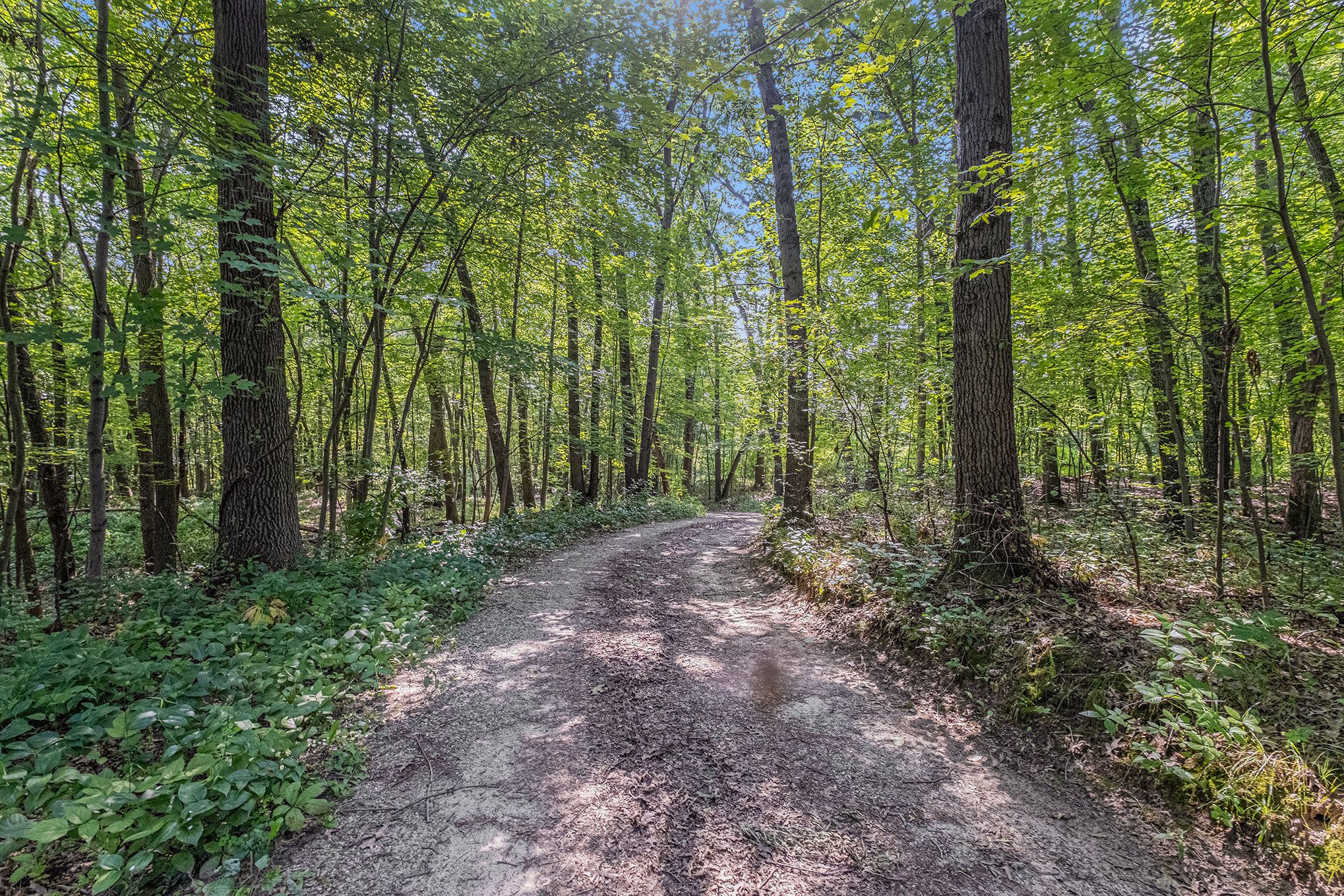 Joel Rd, Holly, MI 48442